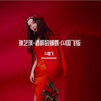 孙艺琪 - 酒醉的蝴蝶 (女声版DJ何鹏版伴奏)