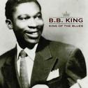 King of the Blues (A Collection of 50 Memorable Songs from the King of the Blues)专辑