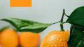 Fresh Jazz - Smooth Jazz Beats, Dinner Jazz Deluxe, Smooth Jazz for Relaxation & Sleep, Jazz Music A专辑