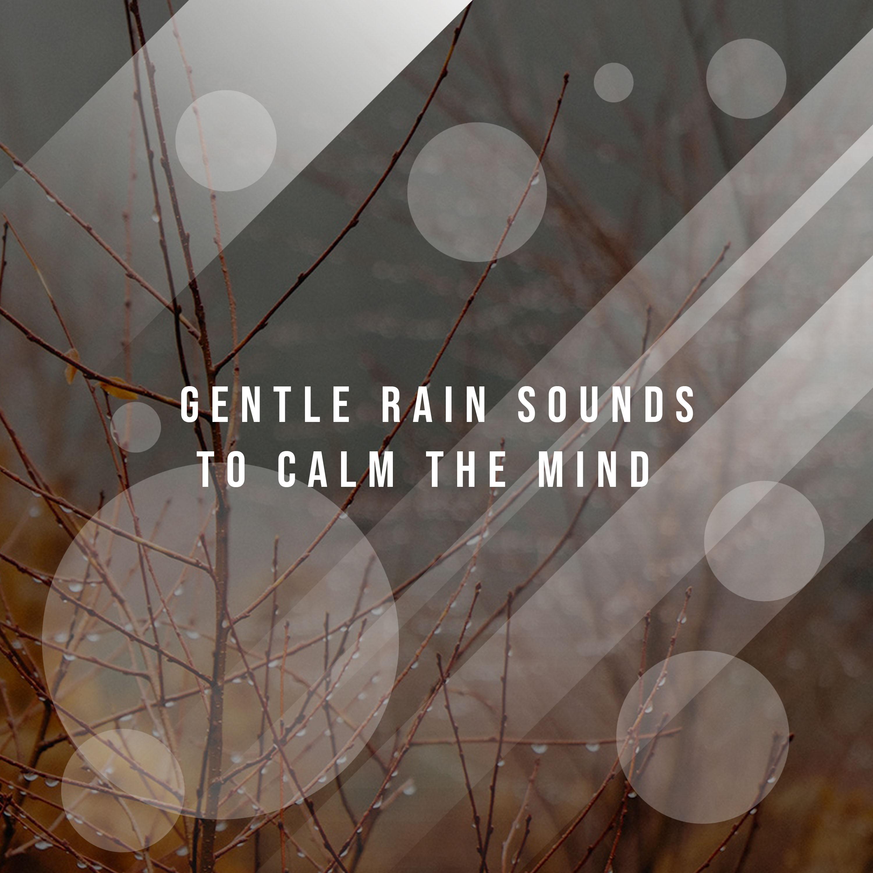 12 Calming Rain Tracks to Rest Your Mind专辑