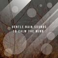 12 Calming Rain Tracks to Rest Your Mind