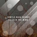 12 Calming Rain Tracks to Rest Your Mind专辑