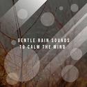 12 Calming Rain Tracks to Rest Your Mind专辑