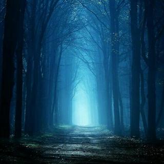 电音，让你的耳朵产生幻听［安静电音］