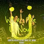 Where Are Ü Now (Dimitri Vegas & Like Mike Vs. W&W Remix)专辑