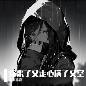 任夏 - 你来了又走心满了又空（原版伴奏）