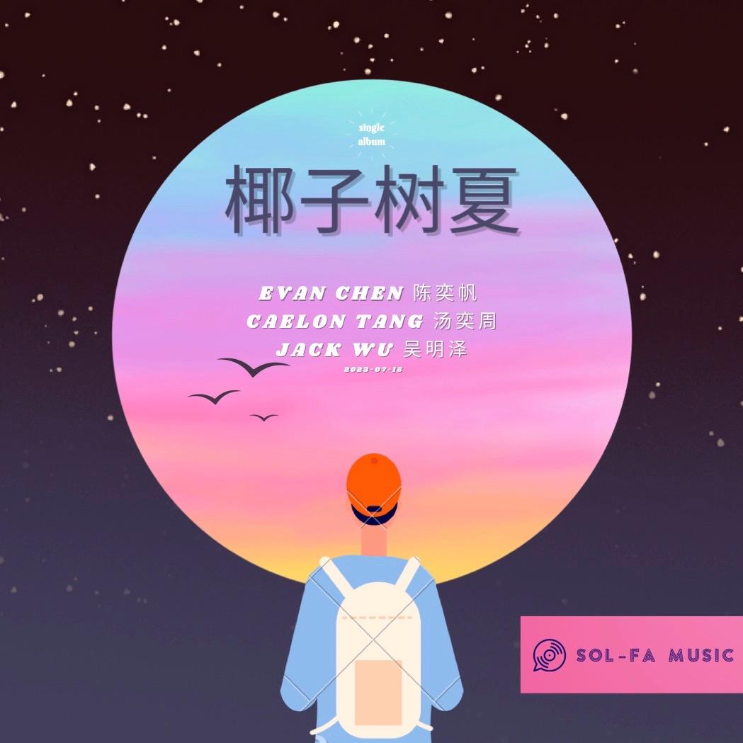 椰子树夏