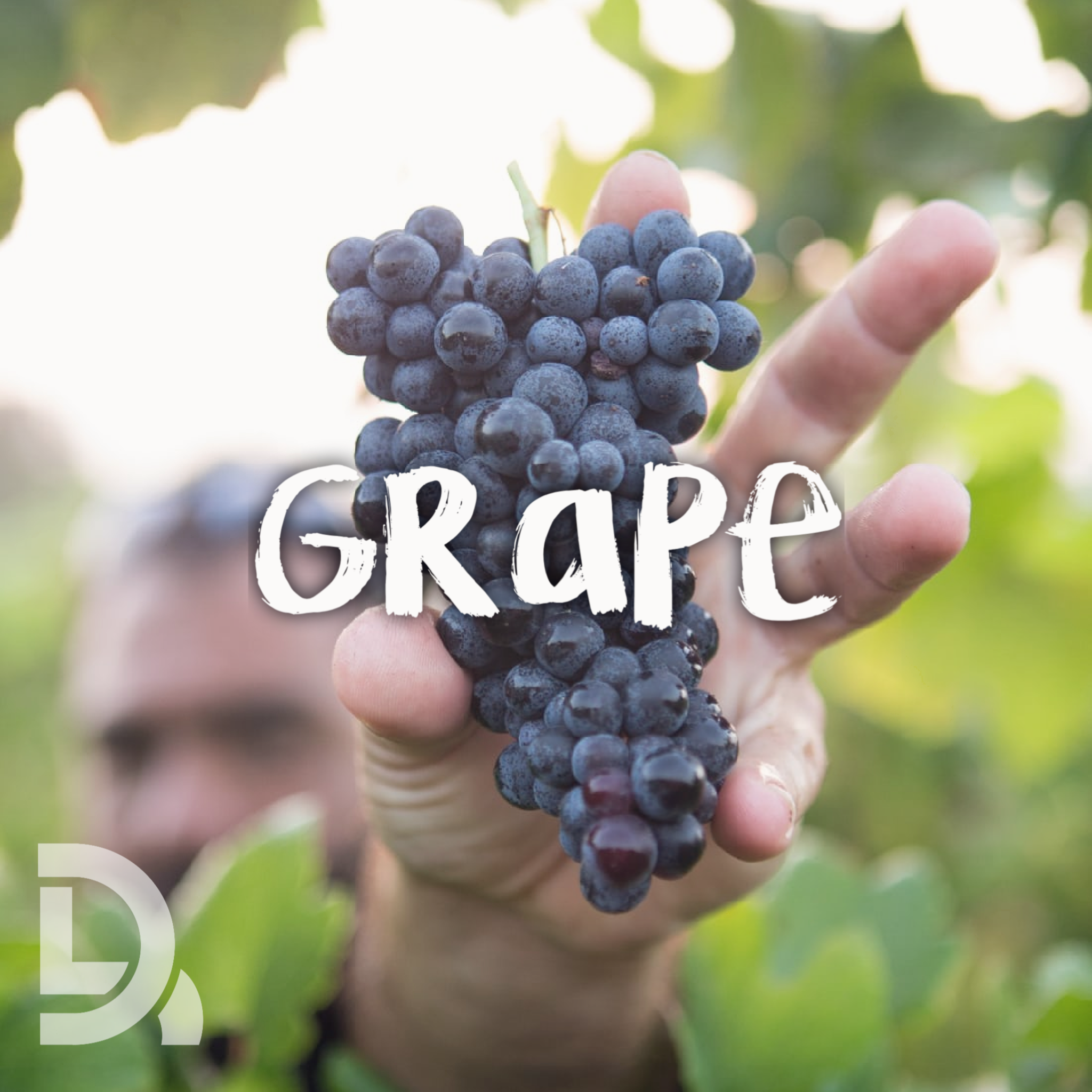 Grape