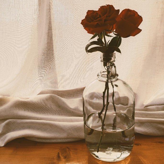 Lounge/Country