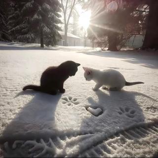 只有熬不完的夜和听不完的网易云/破碎感