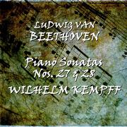 Beethoven: Piano Sonatas Nos. 27 & 28