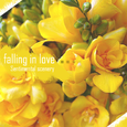 Falling In Love