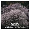 MARIANA - Signs (feat. Shing02)