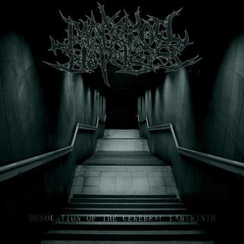 Desolation Of The Cerebral Labyrinth专辑