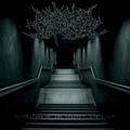 Desolation Of The Cerebral Labyrinth