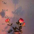 The Rose Walks In Beauty