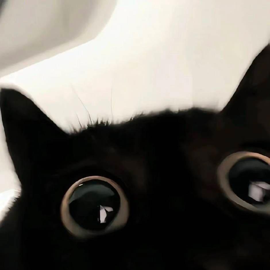 爱止痛(Prod.JpBeatz)