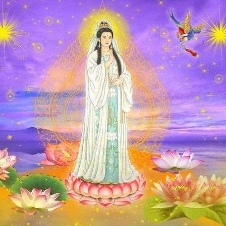 南无大慈大悲观世音菩萨