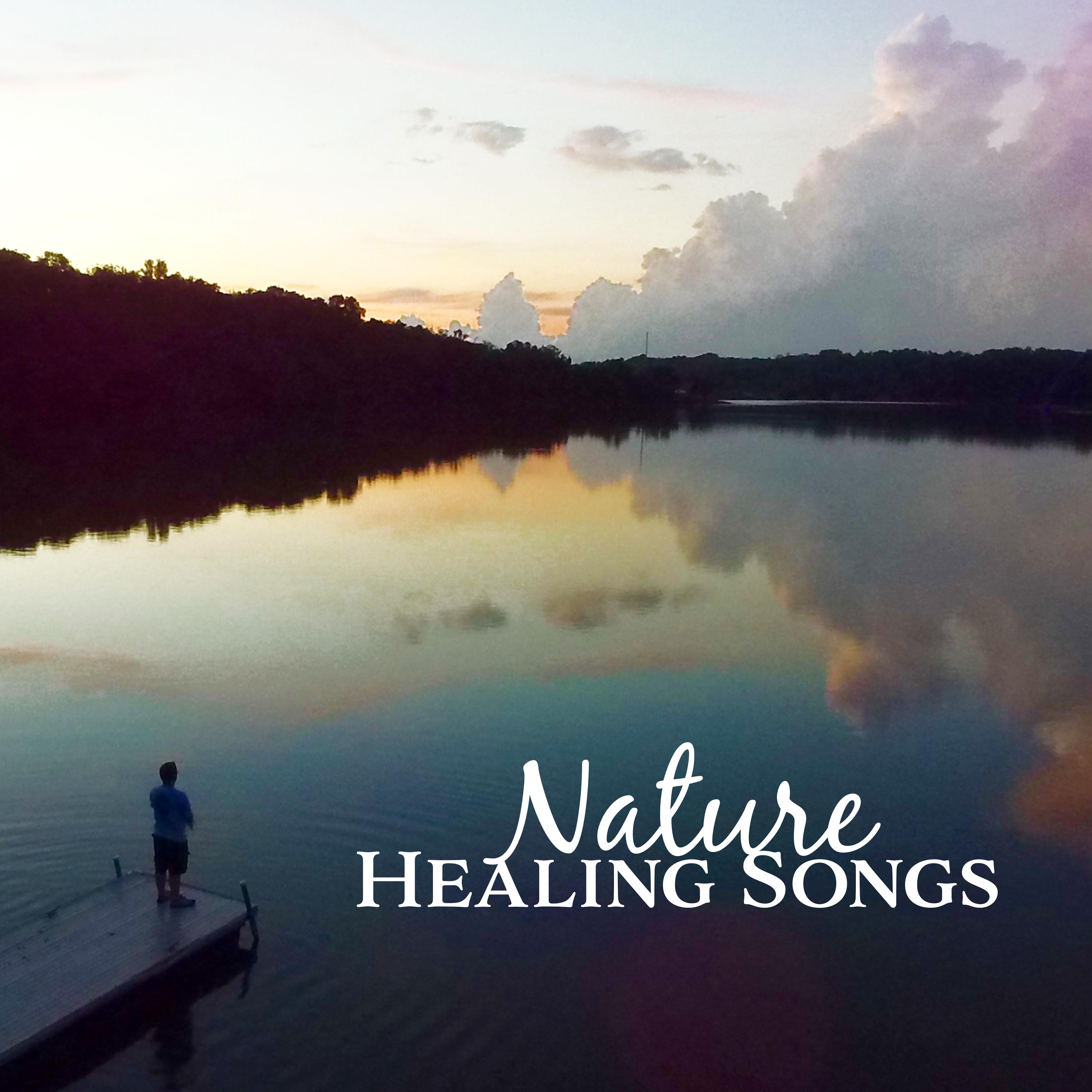 Nature Healing Songs – New Age Calming Sounds, Stress Relief, Peaceful Music, Chilled Memories专辑