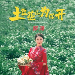 花儿为你开 （升6半音）