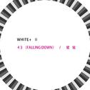 43 (Falling Down) / 鹭鸶专辑