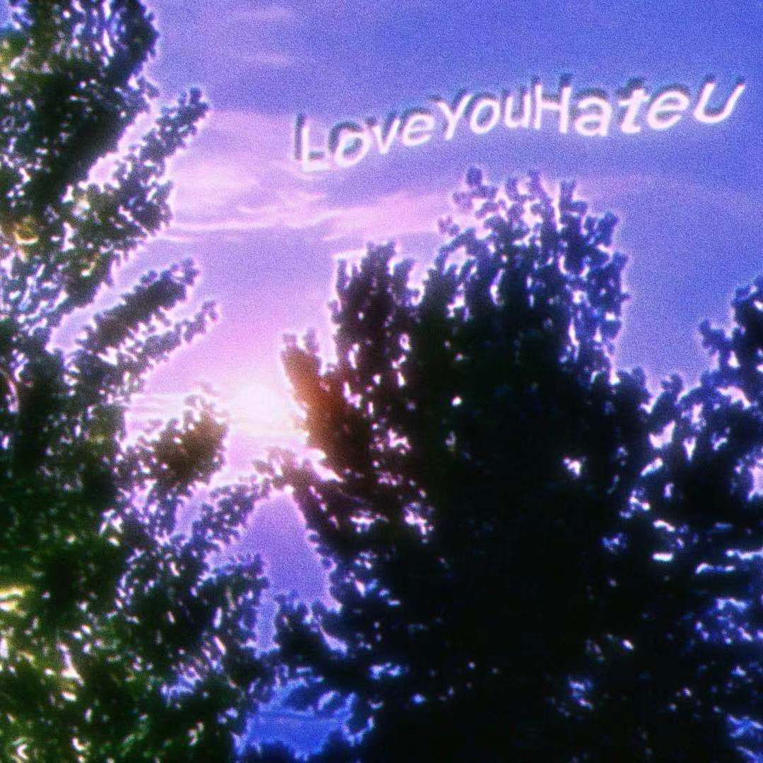 2Y
