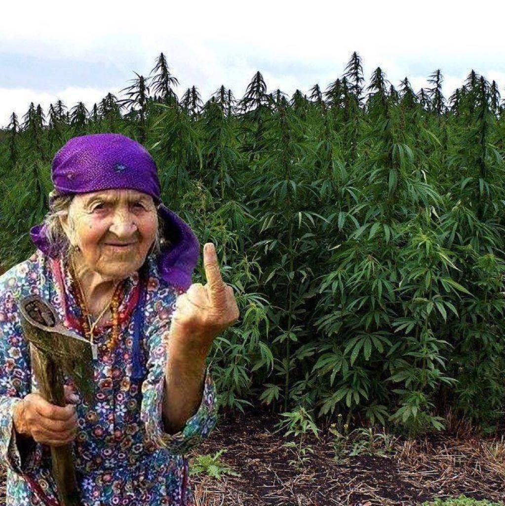 Что ты скажешь бабушке пошла