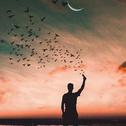 循序渐进 〄 EDM Progressive House