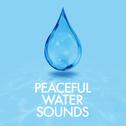 Peaceful Water Sounds专辑