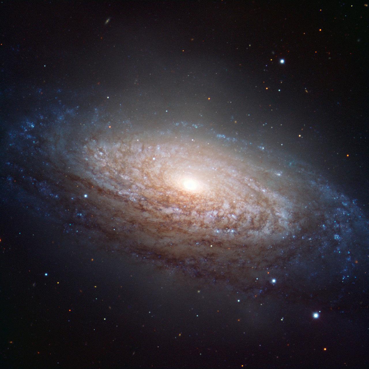 宇宙（Universe）