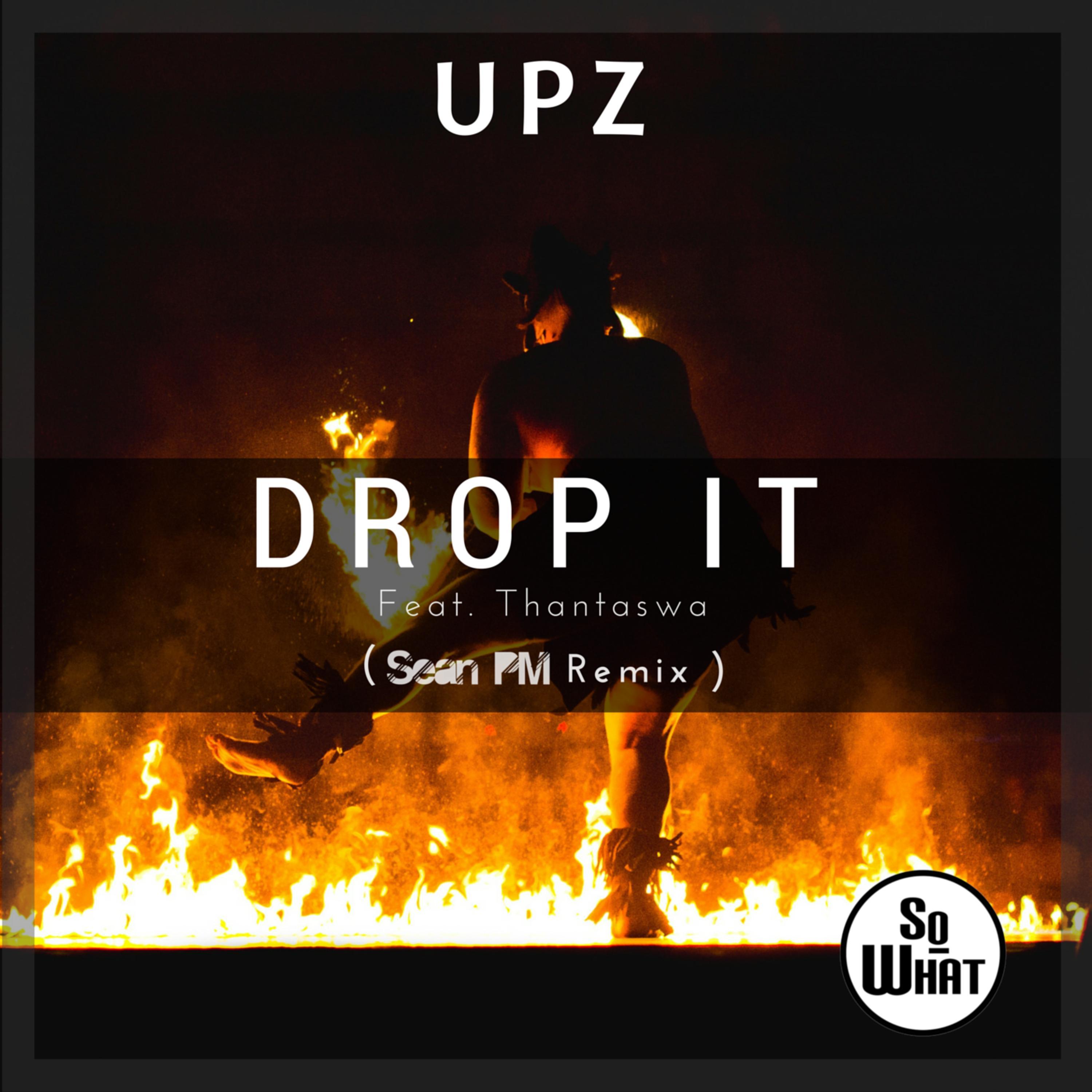 Drop It (Sean PM Remixes)