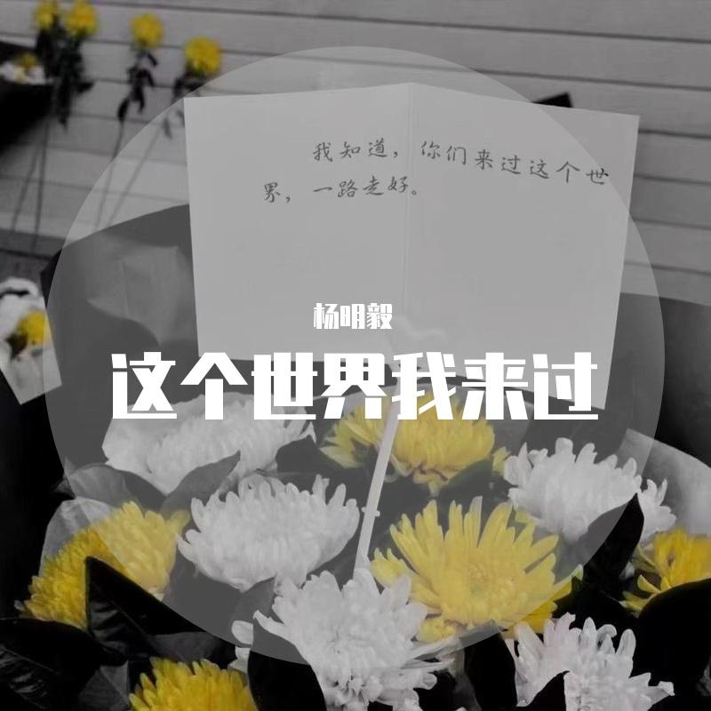 这个世界我来过