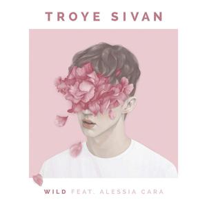 Troye Sivan & Alessia Cara - Wild (CK karaoke) 带和声伴奏 （升6半音）