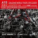 AMeiZING Live 世界巡回演唱会专辑