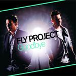 Goodbye (Radio Edit)专辑