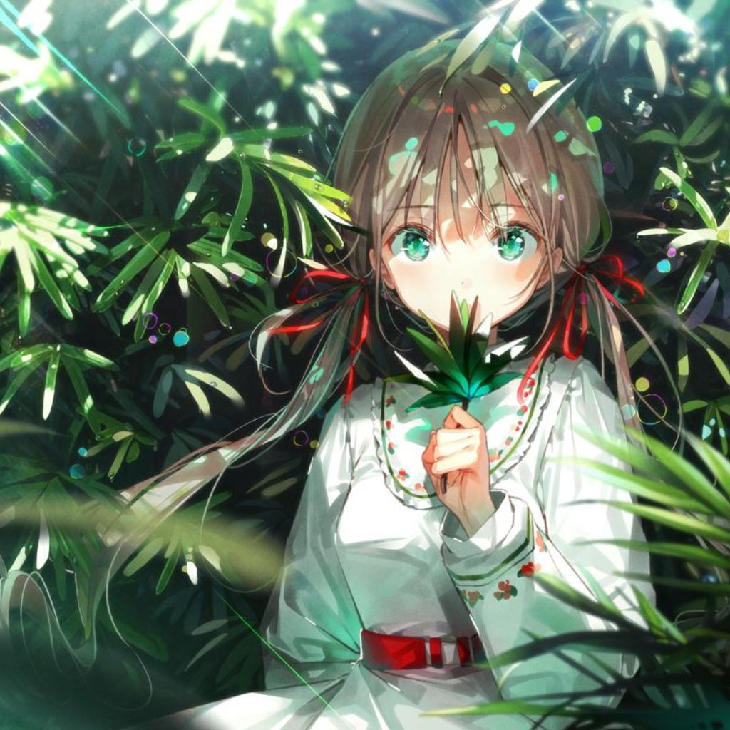 清新电萌 | 树林阴翳 柳暗花明