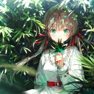 清新电萌 | 树林阴翳 柳暗花明