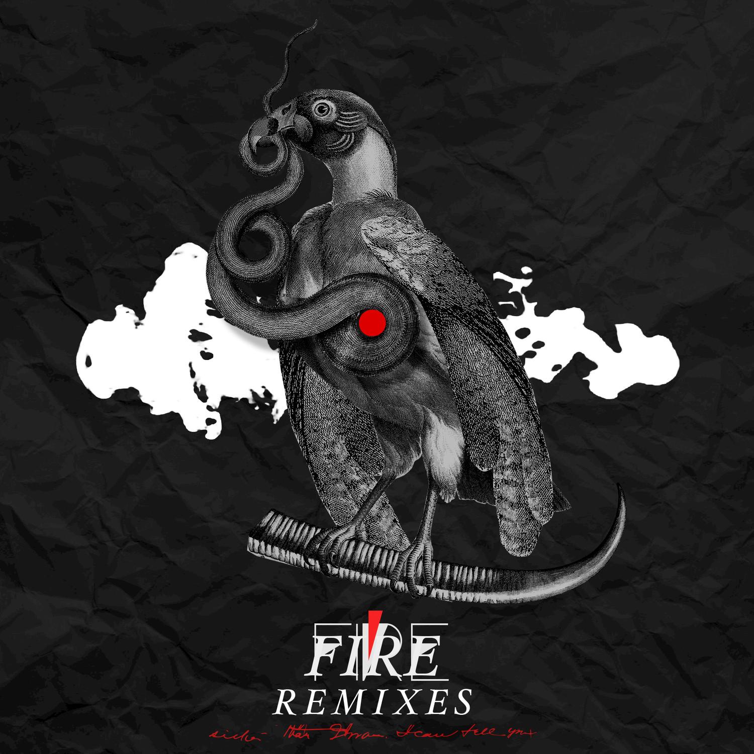 Fire (Remixes)