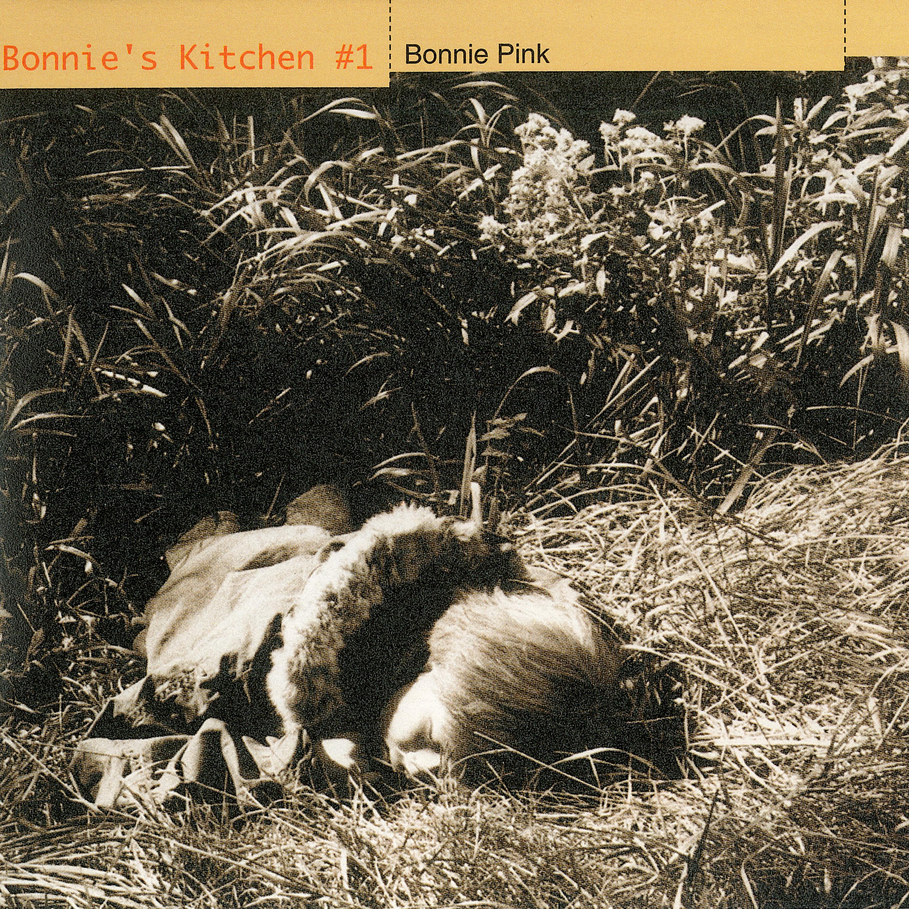 Bonnie's Kitchen #1专辑