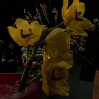 扉页 (说唱新世代) (官方Live) (说唱新世代)