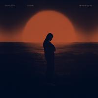 Charlotte Cardin - Feel Good (Naxsy Remix)