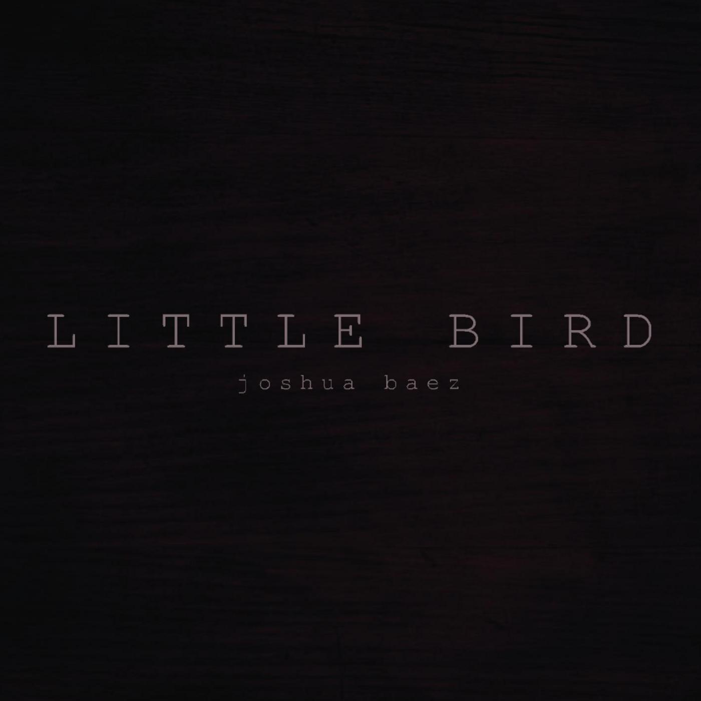 Little Bird