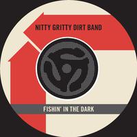 Fishin\' In The Dark - The Nitty Gritty Band (unofficial Instrumental)