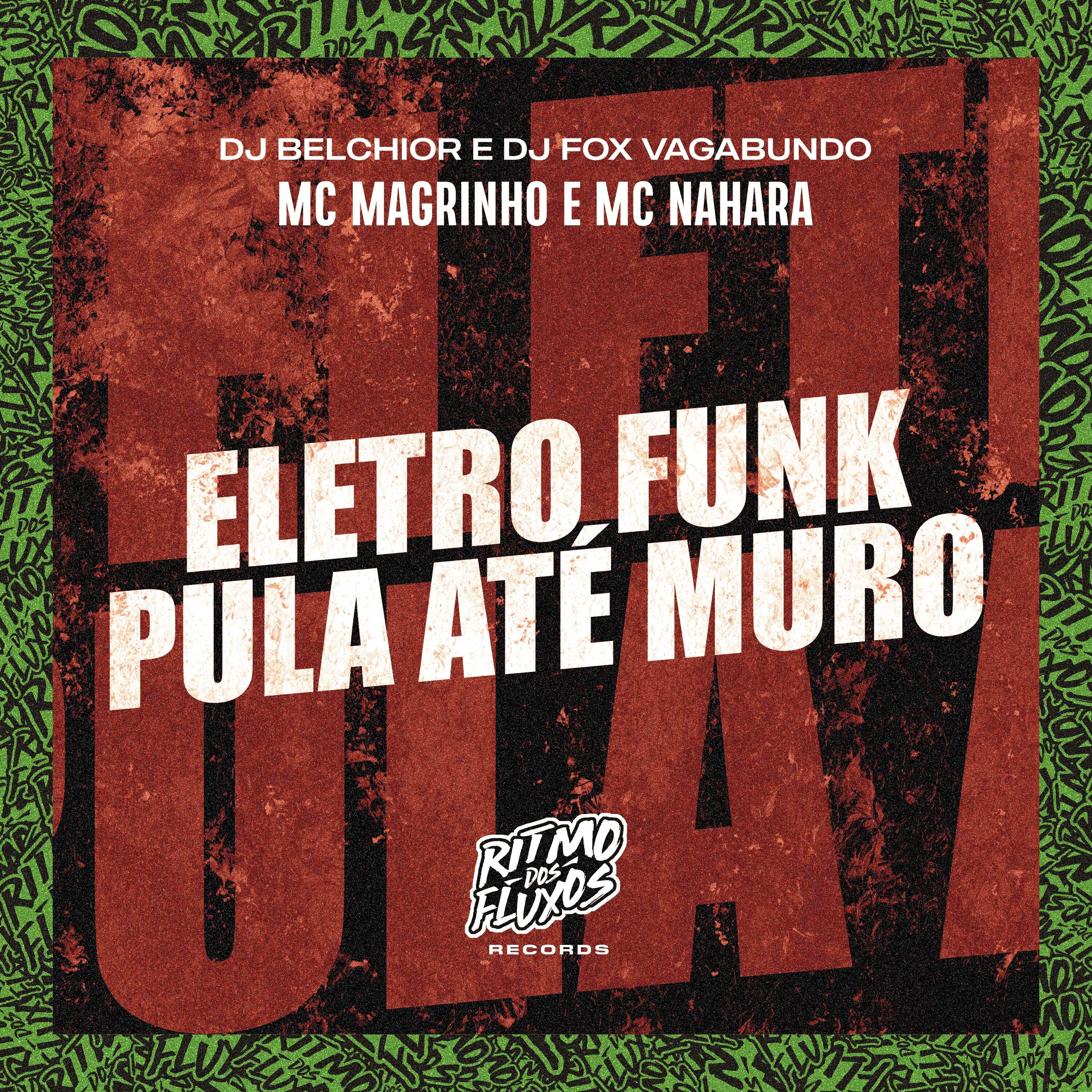 Mc Magrinho - Eletro Funk Pula Até Muro