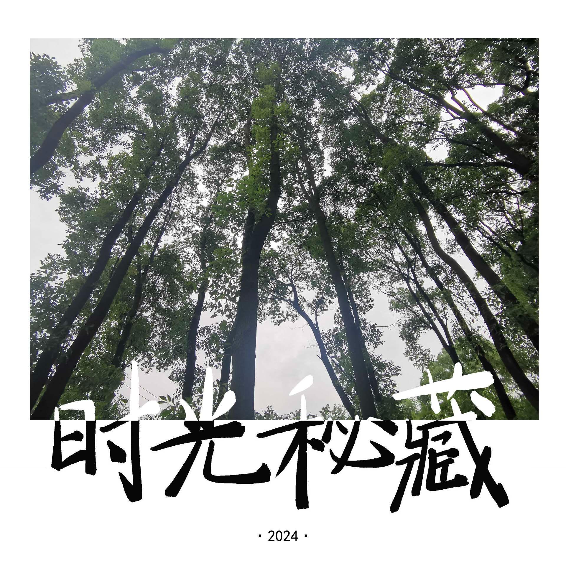 时光秘藏