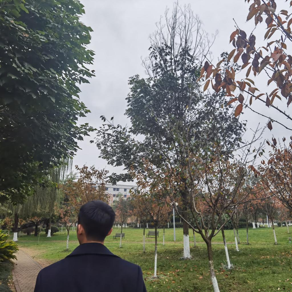 我说好听 就是好听 | 在线播放 | 网易云音乐