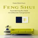 FENG SHUI mit wohltuenden Naturgeräuschen专辑