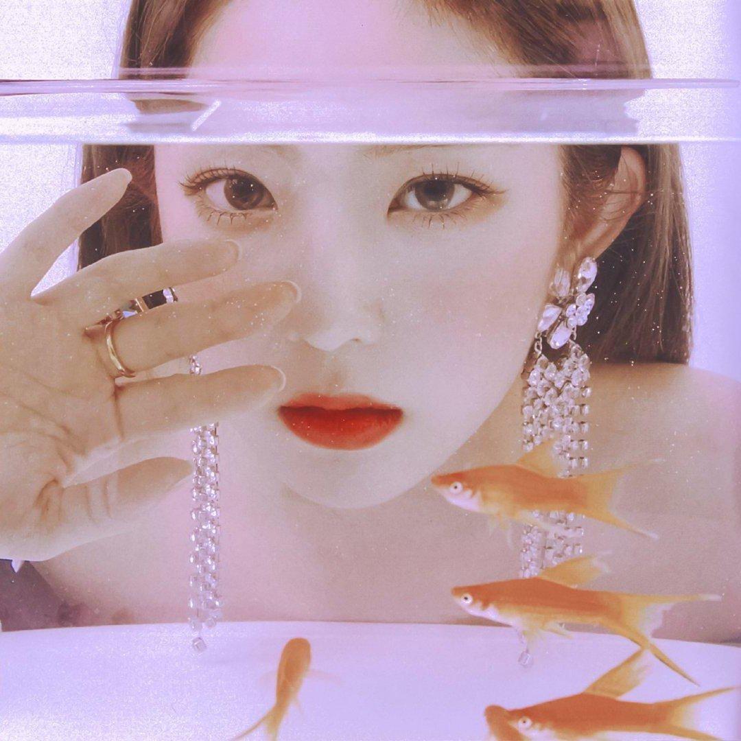 韩♢电流交织而成的梦幻仙境