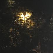 Light