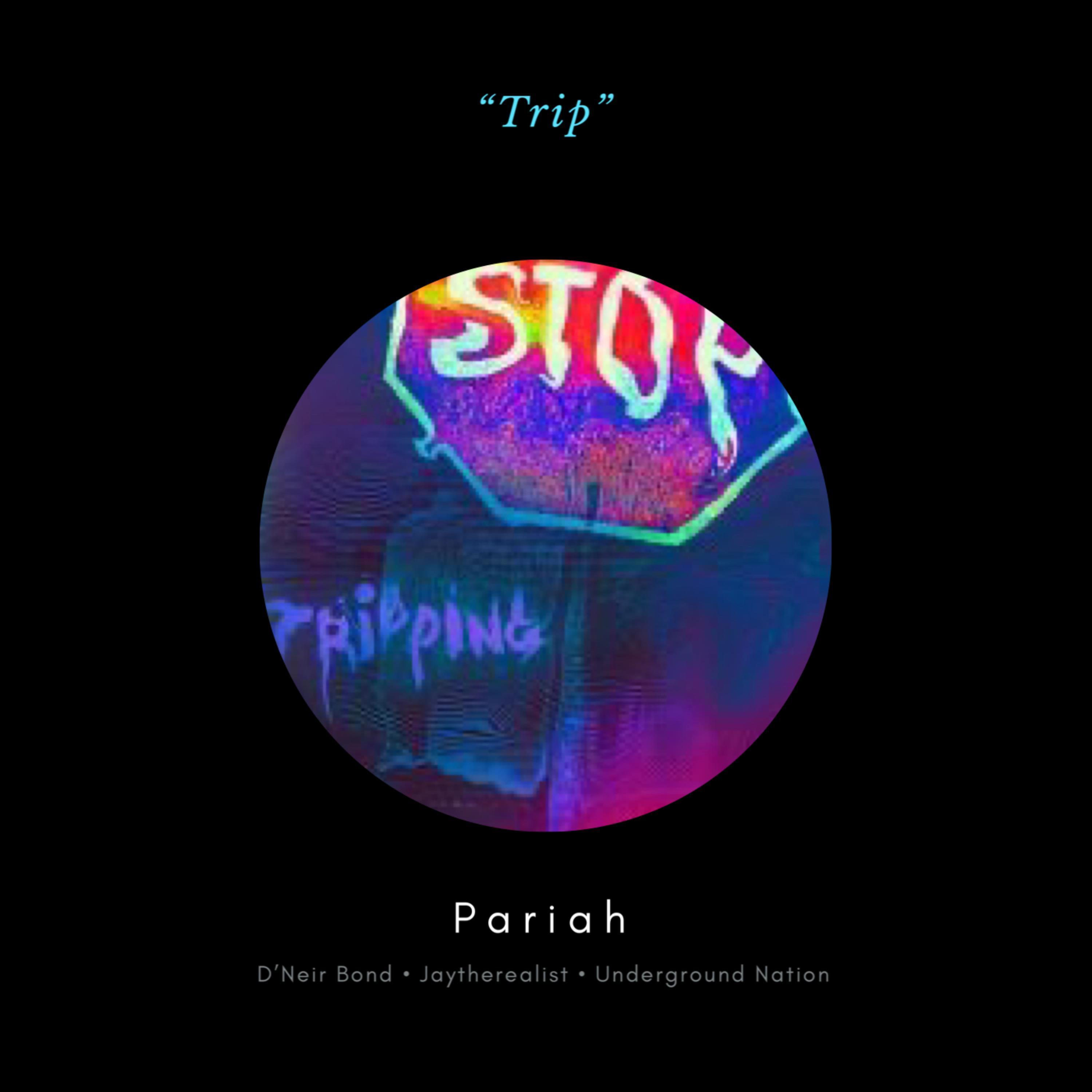 Trip